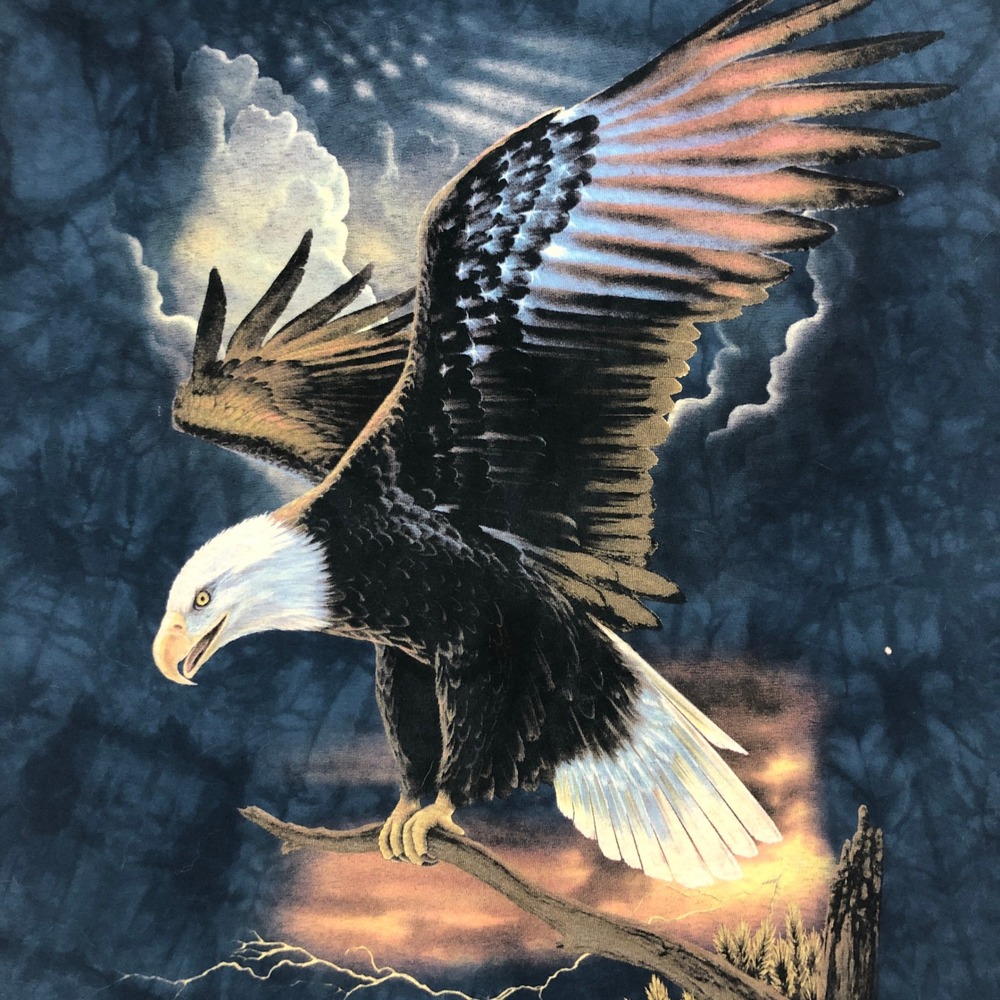 The Mountain Sleeveless T Shirt Eagle Graphic Blue Tie Dye Men's Large